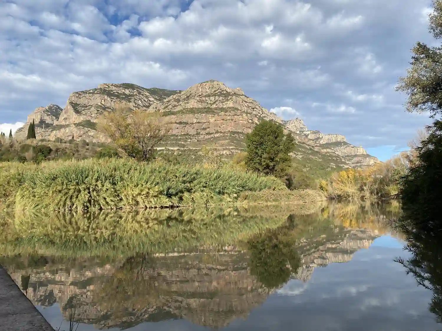 Jardin de invierno natural en Olesa de Montserrat