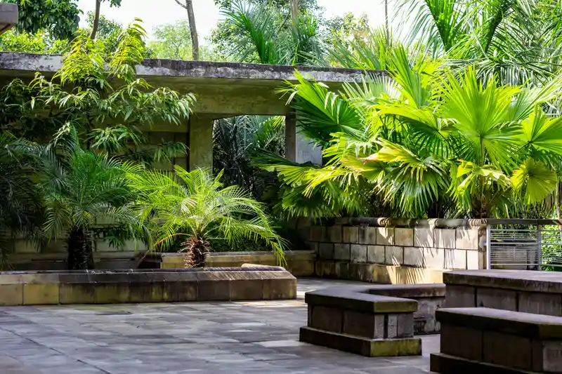 Plantas con Resistencia climática esencial