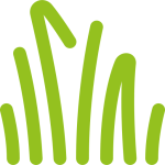 Colocación de cesped artificial