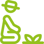 Mantenimiento de jardines