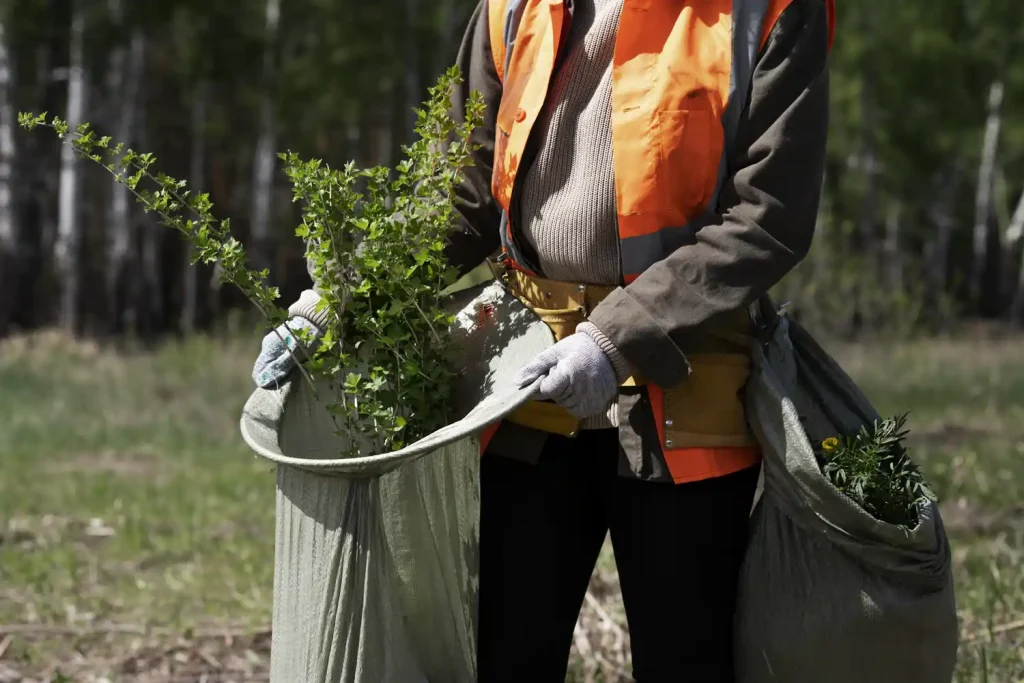 Limpieza de Jardines y terrenos