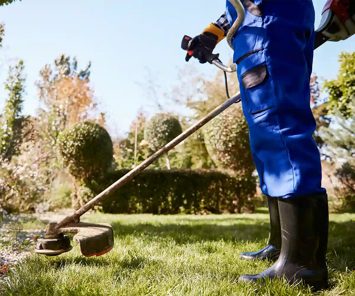 Limpieza de Jardines y terrenos home