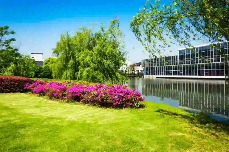Servicios de jardinería para empresas