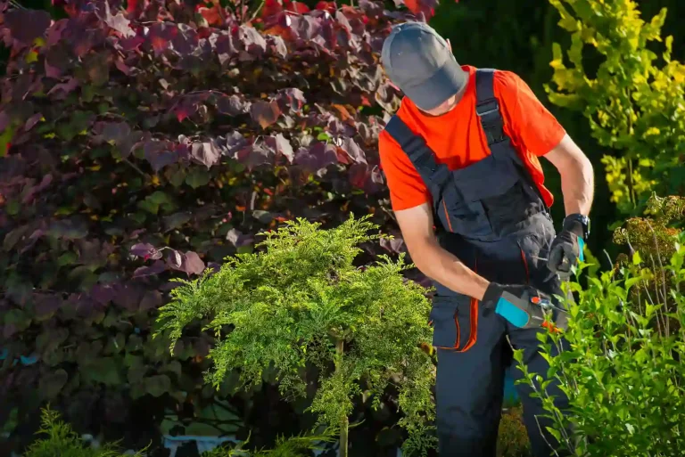 Servicios de jardinería para particulares