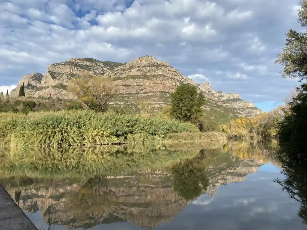 Jardin de invierno natural en Olesa de Montserrat